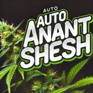Auto Anant Shesh