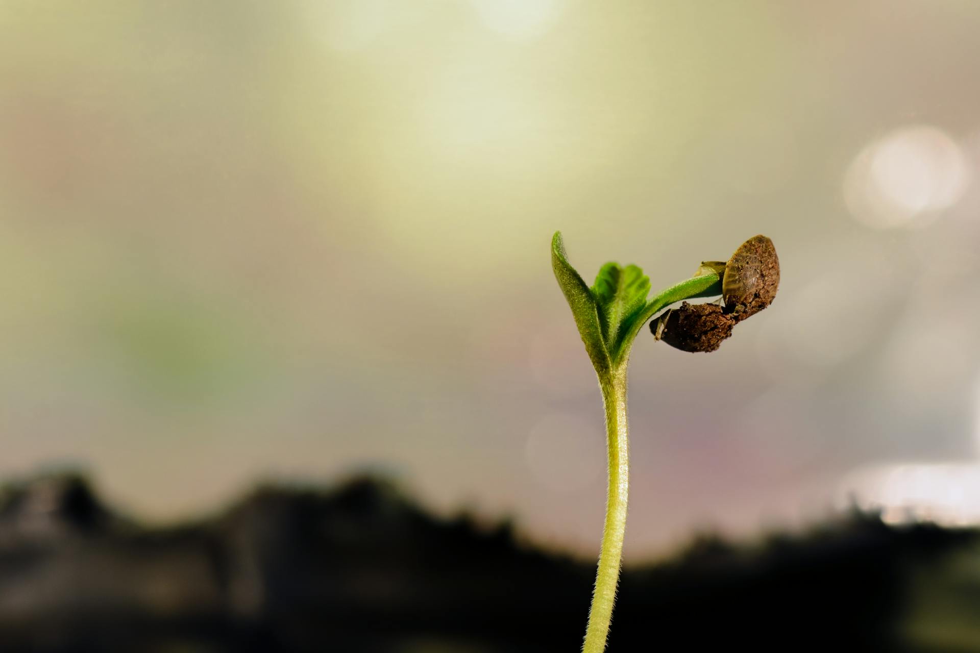 pexels-photo-5944813-2